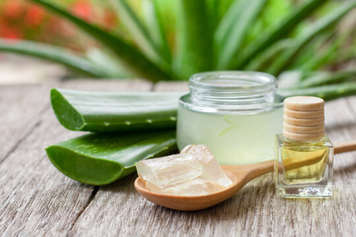 Aloe vera za eludac