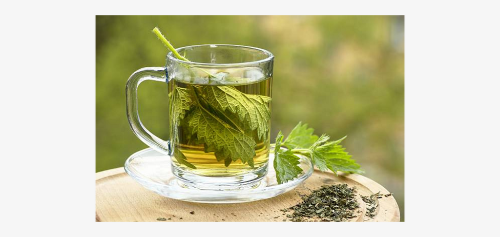 Čaj od koprive: Prirodni eliksir za zdravlje