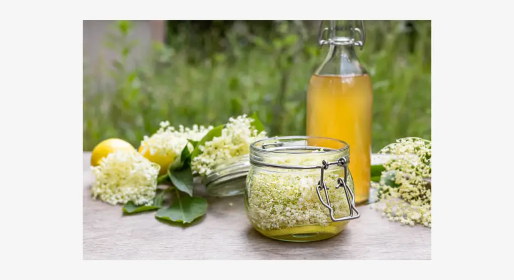 Kako napraviti domaći sirup od bazge – mirisan recept s demerara šećerom