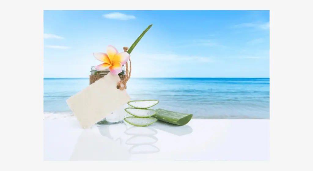 Top 7 učinkovitih načina korištenja aloe vera gela